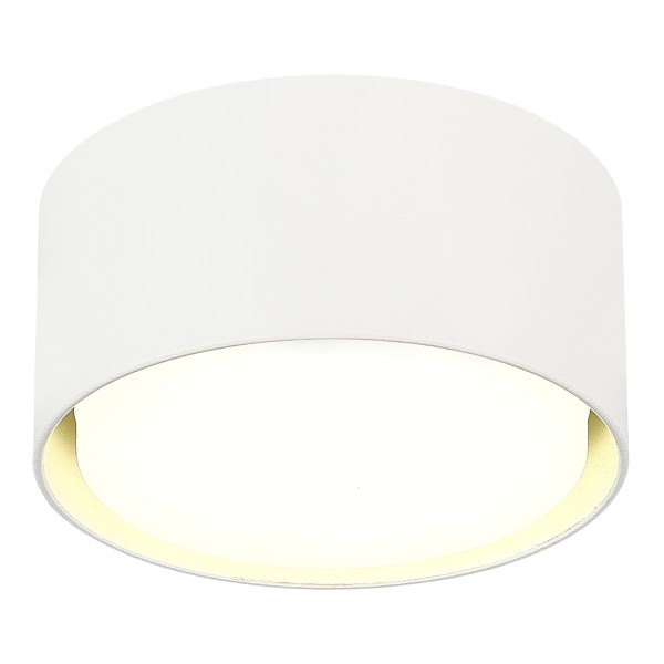 ST164.502.01 Светильник потолочный Белый GX53 1*50W IP20 D85xH40 220V Без ламп Накладные светильники