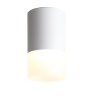 ST100.502.05 Светильник потолочный Белый LED 1*5W 3000K 390Lm Ra>80 120° D64xH110 170-240V Накладные светильники