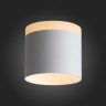 ST102.502.12 Светильник потолочный Белый LED 1*12W 3000K 936Lm Ra>80 120° IP20 D100xH90 170-240V Накладные светильники