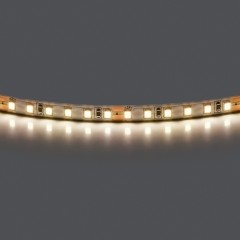 420804 Лента LIGHTSTAR LED 24V 12W 120leds/M 1600LM/M 4000K IP20 1шт = 5м
