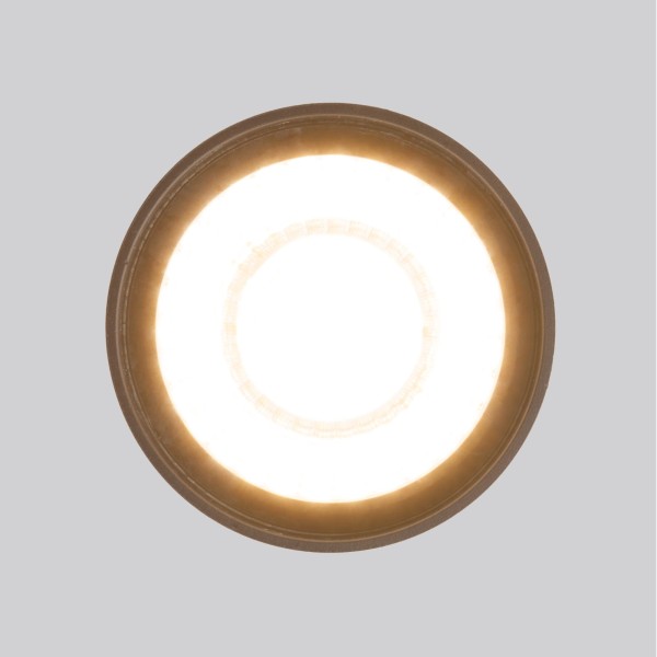 Уличный потолочный светильник Light LED 2105 IP54 35132/H черный