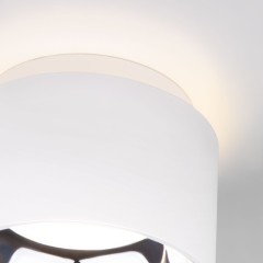 Накладной потолочный  светильник 1069 GX53 WH белый матовый