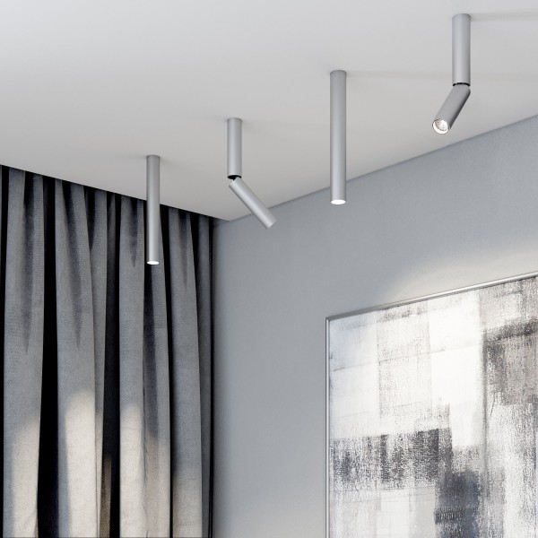 Накладной потолочный светильник 25030/LED 6W 4200K серебро