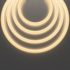 Гибкий неон Led Strip 20301