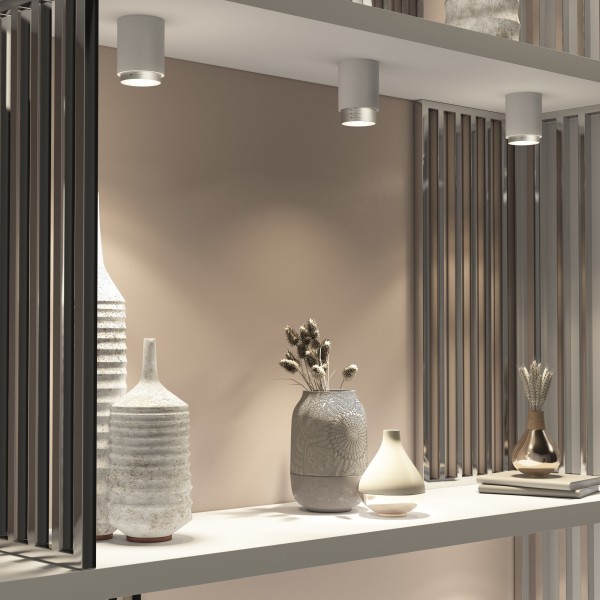 Потолочный светодиодный светильник Cors 25032/LED 10W 4200K белый/серебро