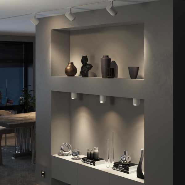 Потолочный светодиодный светильник Cors 25032/LED 10W 4200K белый/серебро