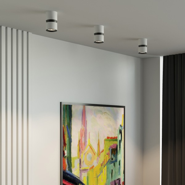 Светильник потолочный светодиодный 12W 4000К белый/чёрный 25049/LED