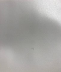 Полотно MSD Evolution белое сатиновое S303 