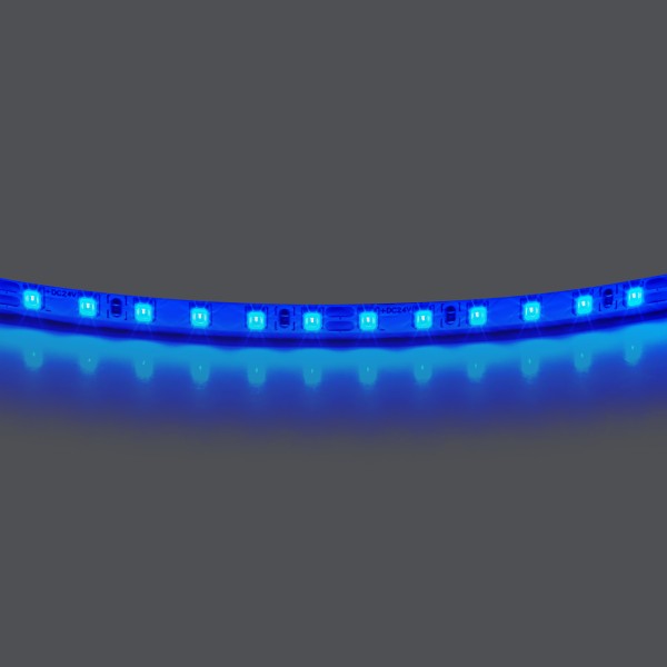 420515 Лента LIGHTSTAR LED 24V 12W 120leds/M 1600 LM/M синий IP20 1шт = 5м