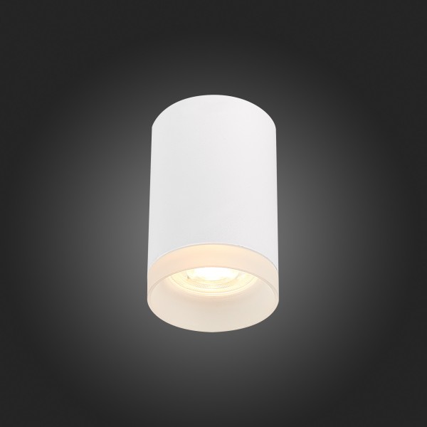 ST100.502.01 Светильник потолочный Белый GU10 1*50W IP20 D64xH99 220V Без ламп Накладные светильники