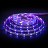 Светодиодная лента 24 В 14,4 Вт/м 60 Led/м 5050+5050 IP20, MIX RGB/теплый белый, 5 м Лента светодиодная 24V 14,4W 60Led 5050+5050 IP20 MIX RGB/теплый белый, 5м