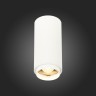 ST600.532.10 Светильник потолочный Zoom Белый LED 1*10W 3000K 1 000Lm Ra>80 15-60° IP20 D59xH130 170 Накладные светильники