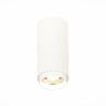 ST600.542.10 Светильник потолочный Zoom Белый LED 1*10W 4000K 1 000Lm Ra>80 15-60° IP20 D59xH130 170 Накладные светильники