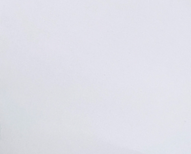 Полотно BAUF 270 сатиновое S303