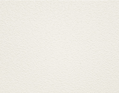 Teqtum EURO белый матовый RAL 110 96 02