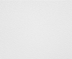 Teqtum EURO белый холодный матовый RAL 110 96 02 C