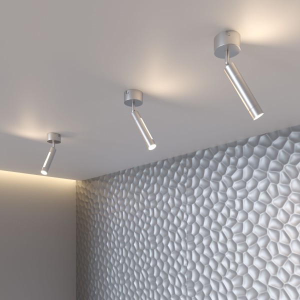 Настенно-потолочный светодиодный светильник 20084/1 LED серебро