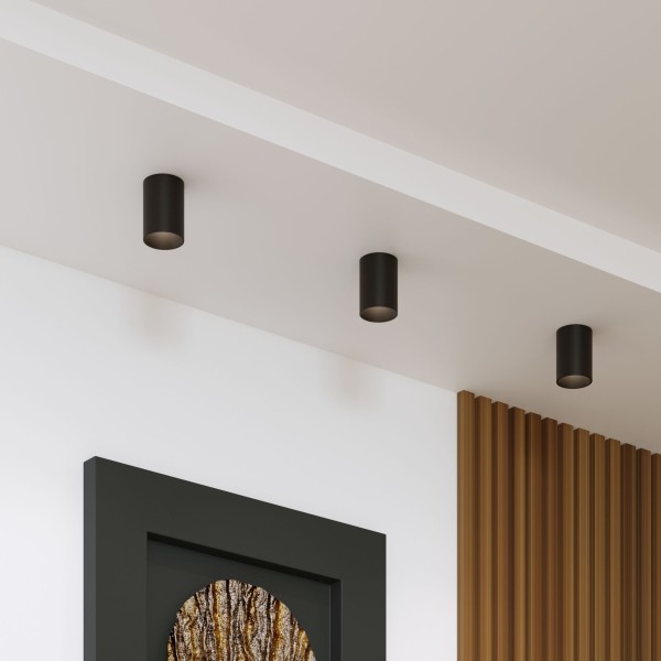 Накладной потолочный светильник 25011/01