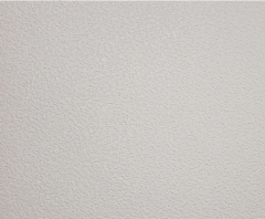 Teqtum EURO матовый RAL 000 85 00