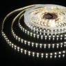 Светодиодная лента 24 В 8 Вт/м 120Led/м 2116 IP20, холодный белый 6500K, 5 м 2116 24V 120Led 8W IP20