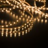 Светодиодная лента 24 В 8 Вт/м 120 Led/м 2116 IP20, тёплый белый 3300K, 5 м 2116 24V 120Led 8W IP20