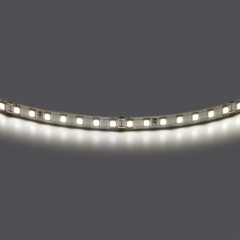 420844 Лента двухсторонняя LIGHTSTAR LED 24V 12W 360G 5m/roll 4000K