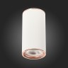 ST111.527.01 Светильник потолочный Белый GU10 1*50W D54xH105 220V Без ламп Накладные светильники
