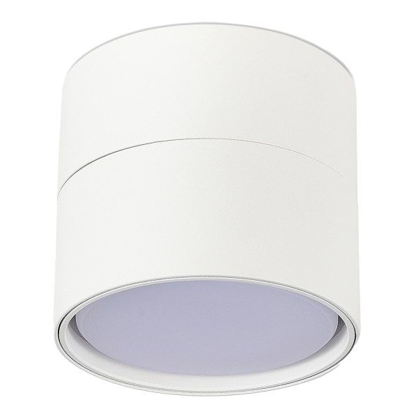 ST651.502.01 Светильник потолочный Белый GX53 1*50W IP20 D85xH77 220V Без ламп Накладные светильники